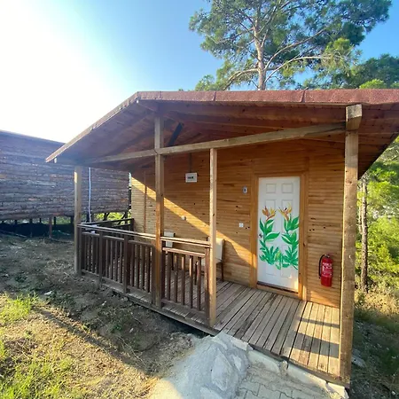 Kadir's Eco Life 5*