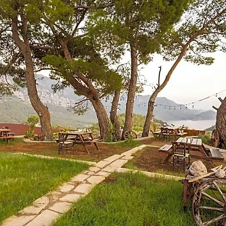 Kadir's Eco Life 5*